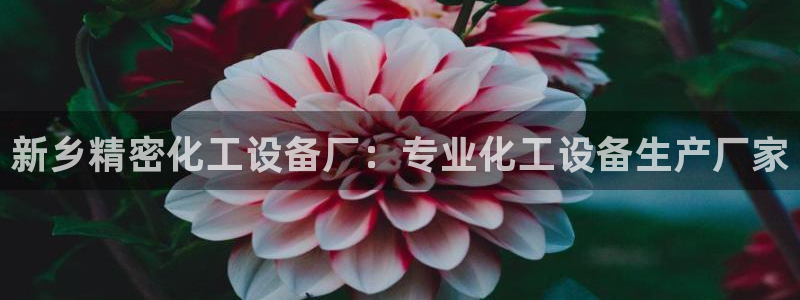 美狮会员入口
