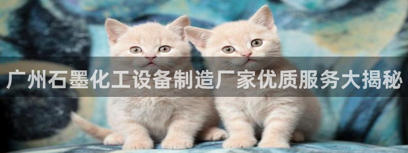 美狮会员注册流程