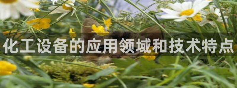 美狮贵宾会输了几万