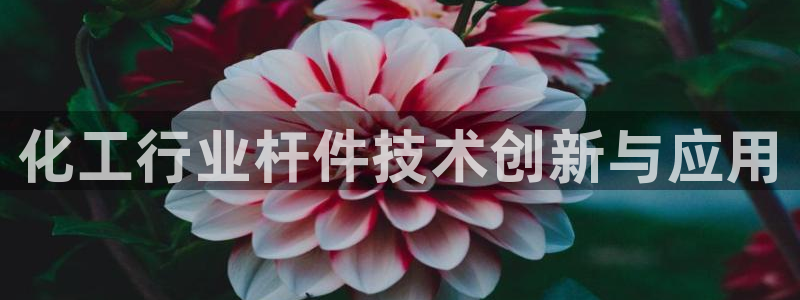 美狮服装