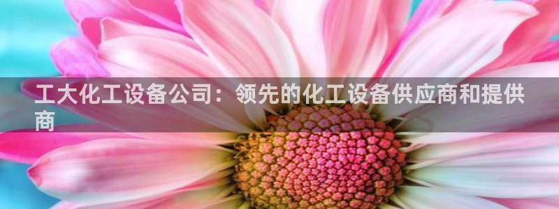美狮贵宾会怎么不到了