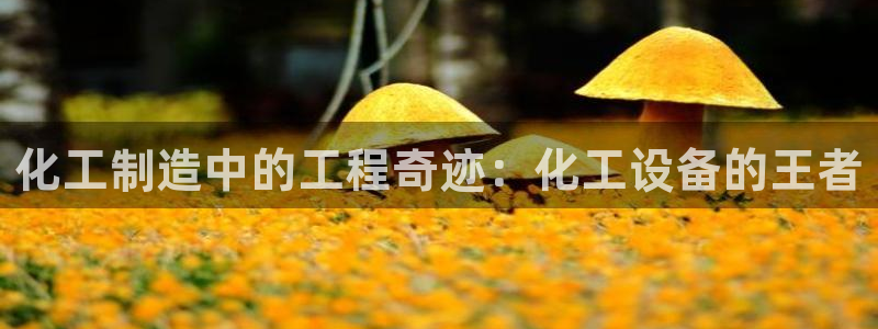 092000777美狮贵宾会