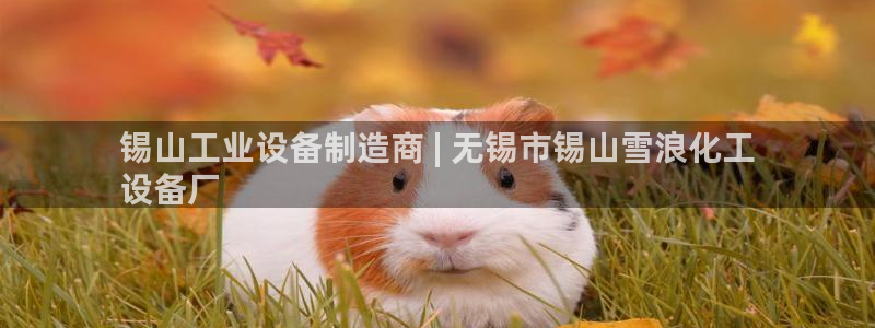 美狮贵宾会开了几年了没有
