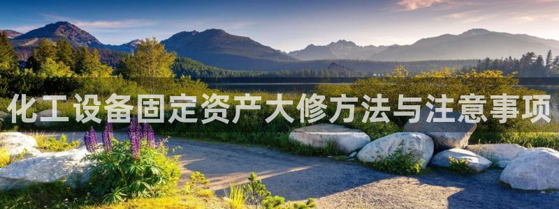 美狮贵宾会代理