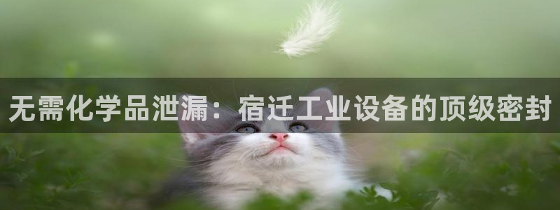 美狮贵宾会app