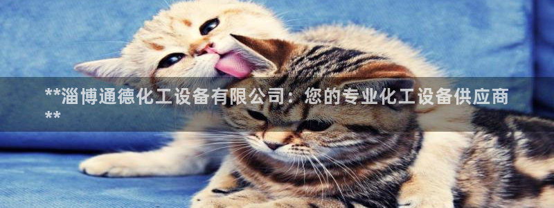 美狮会员充值中心