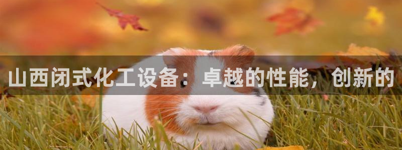 美狮会员卡等级划分标准