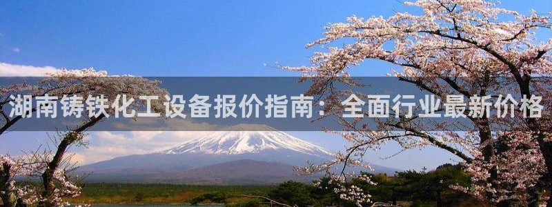 美狮会平台上的钱能取出来吗