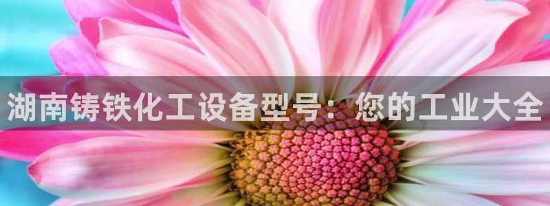 美狮会员充值中心官网
