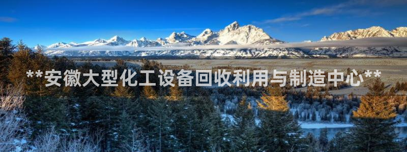 美狮传媒集团有限公司